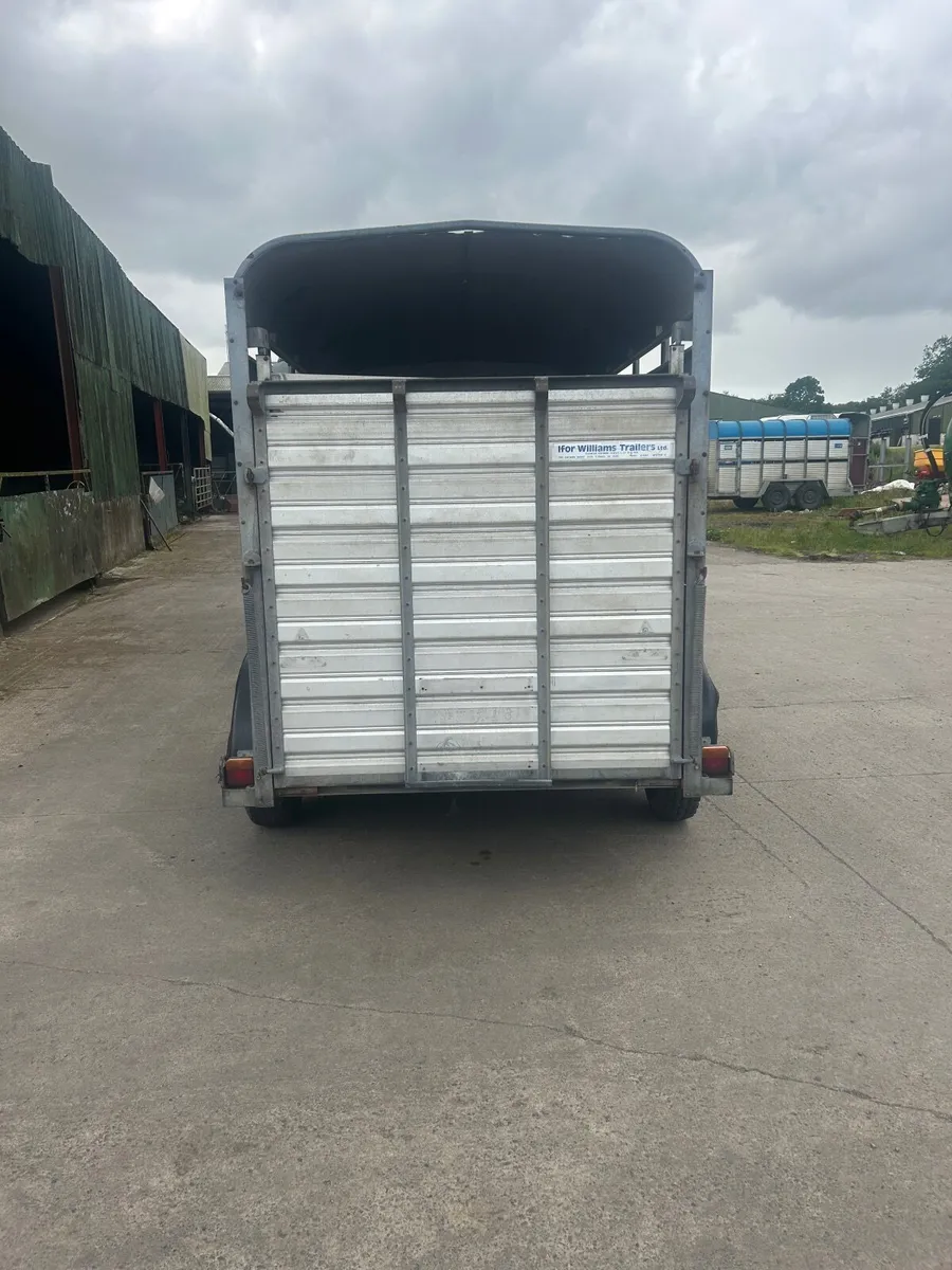 Ivor Williams 10+5 cattle trailer - Image 4