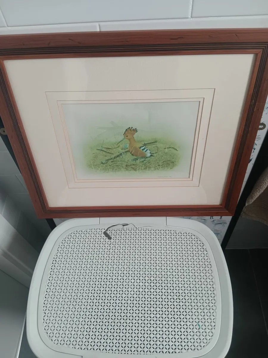 Bird print - Image 2