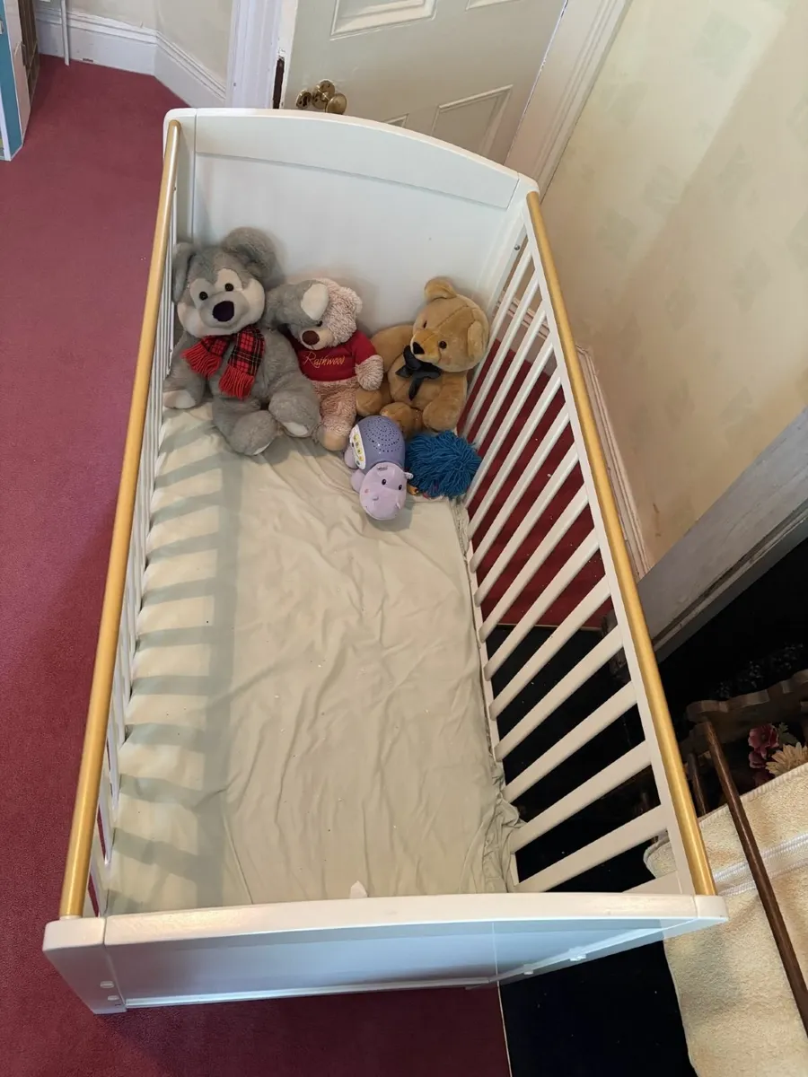 Adjustable Cot - Image 2