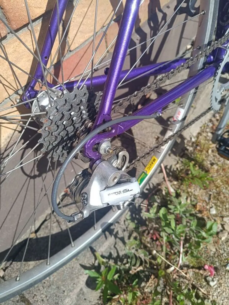 Raleigh Dyna tech 625Ti 53cm titanium excellent condition - Image 3