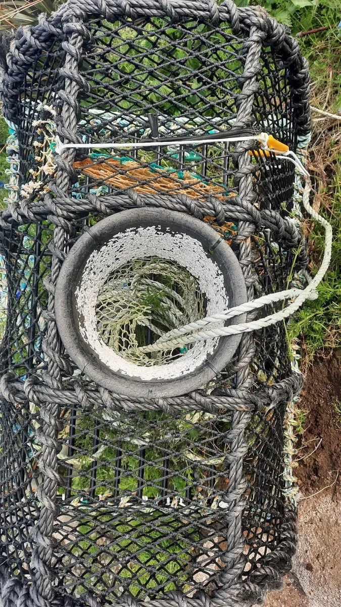 6 Crayfish/lobster pots - Image 1