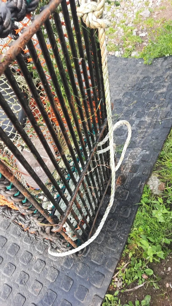 6 Crayfish/lobster pots - Image 2