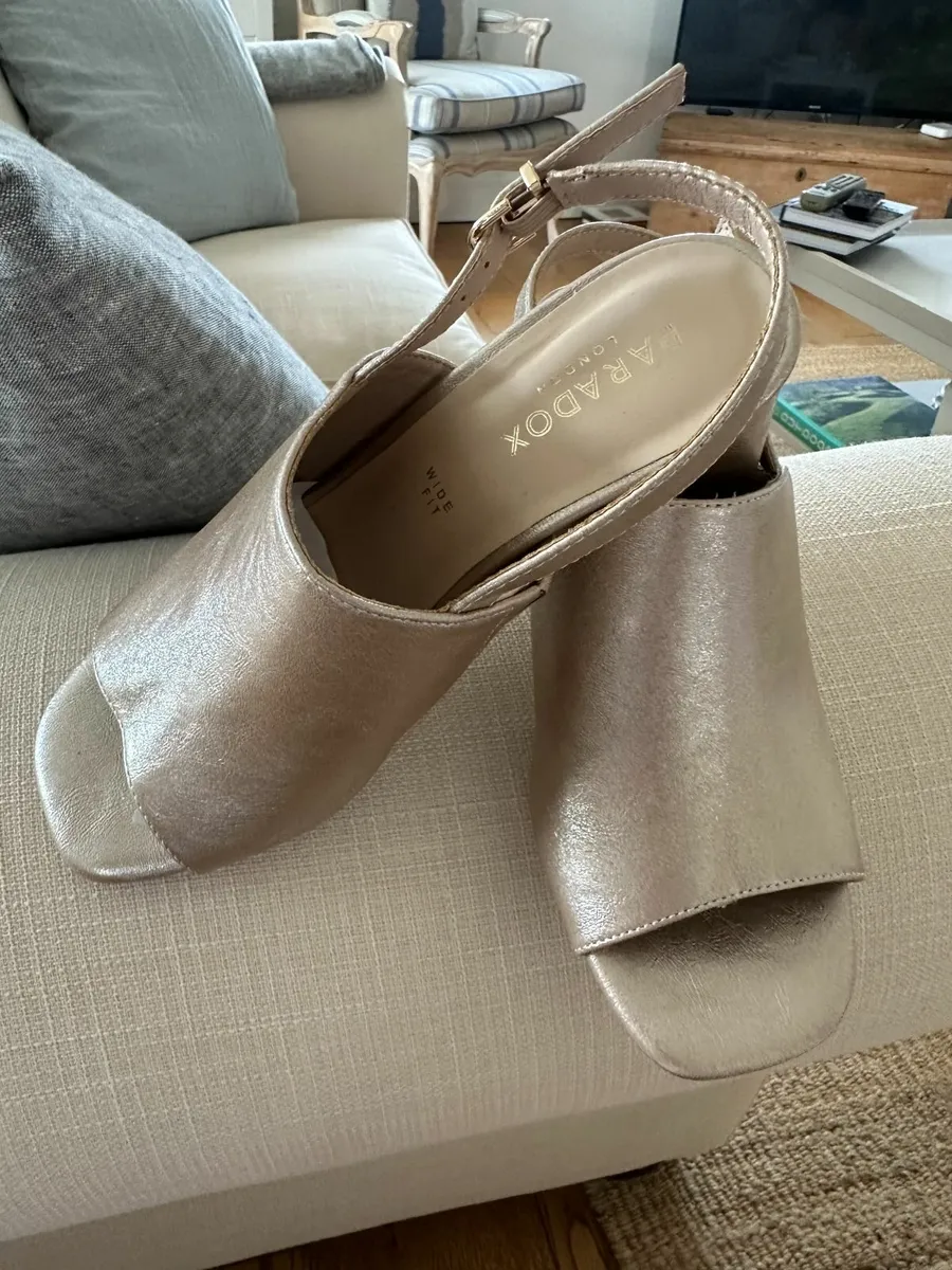 Metallic Sandles - Image 1
