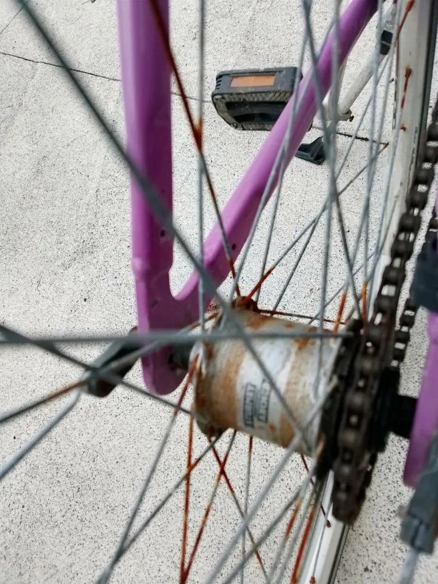 Bike - Image 2