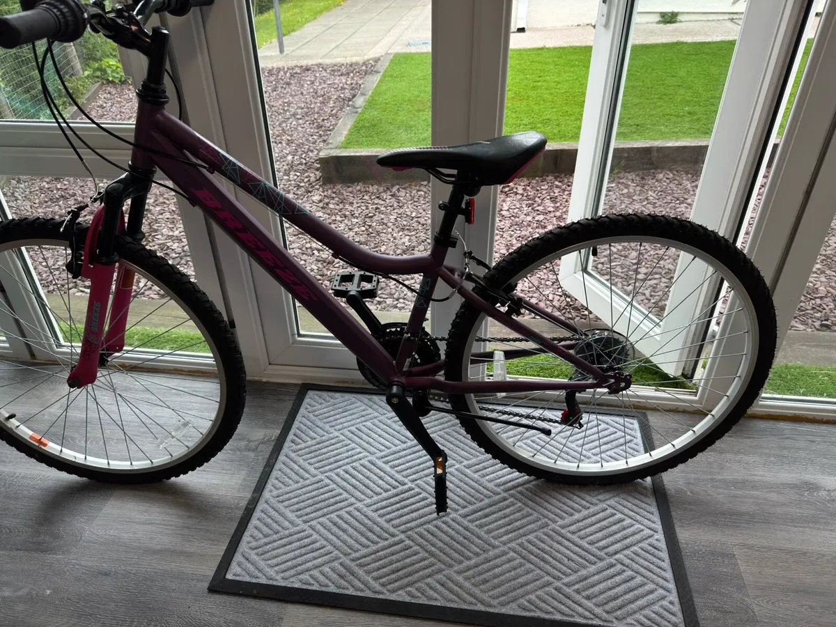 Girls bicycle - Image 1