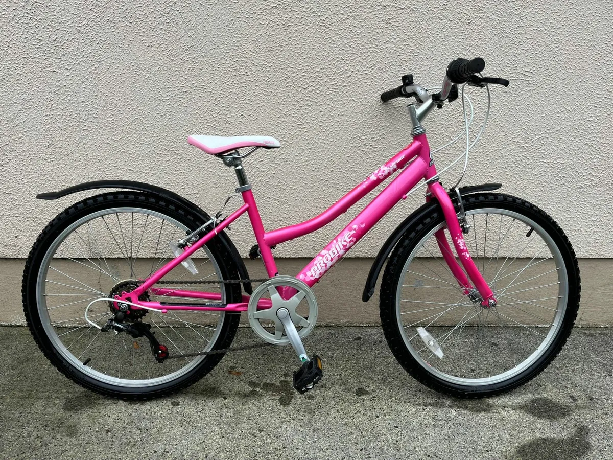 Girls Bicycle - Image 1