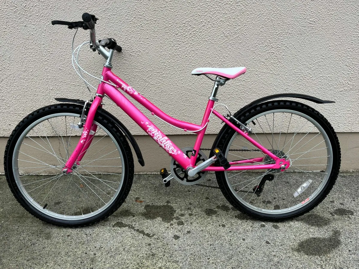 Girls Bicycle - Image 2