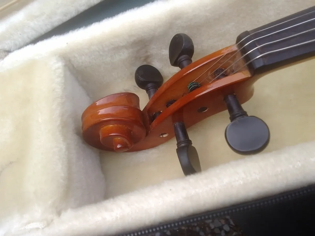 VIOLIN VINTAGE STRADELLA  4/4 MAPLE WOOD AS NEW - Image 2