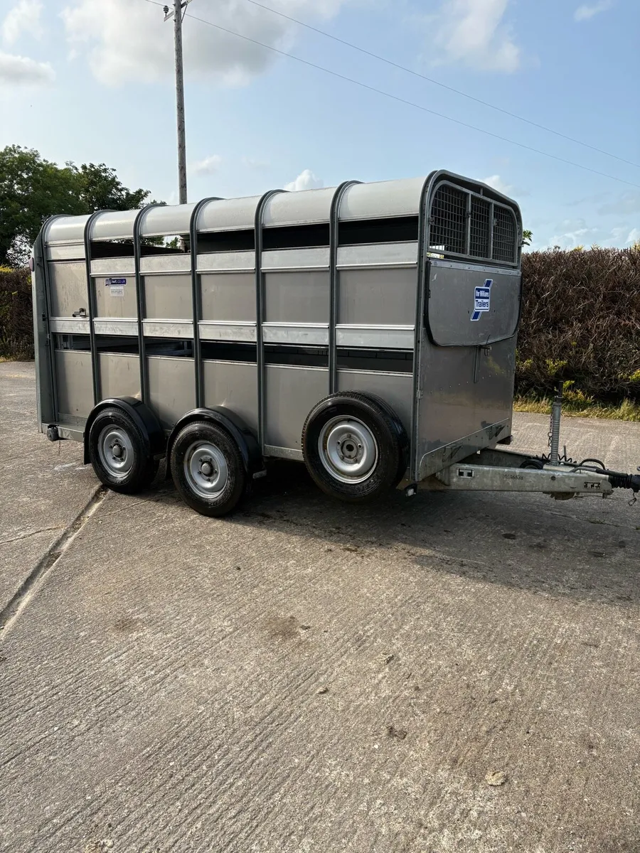 Ifor Williams 2022 - Image 1