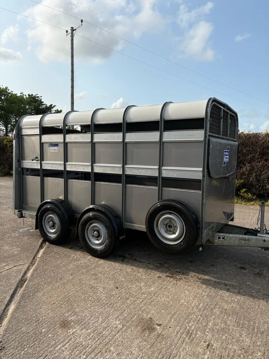 Ifor Williams 2022 - Image 2