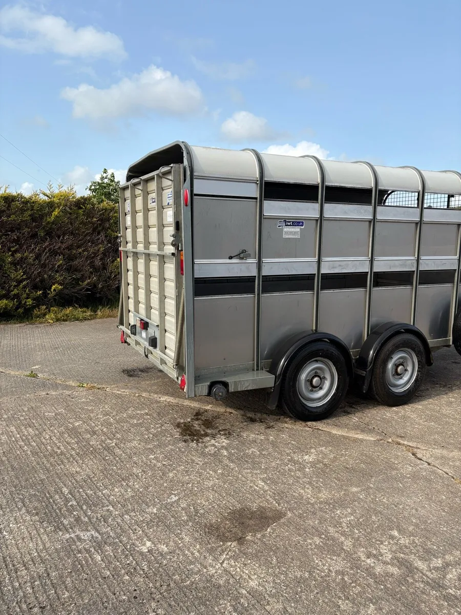 Ifor Williams 2022 - Image 3