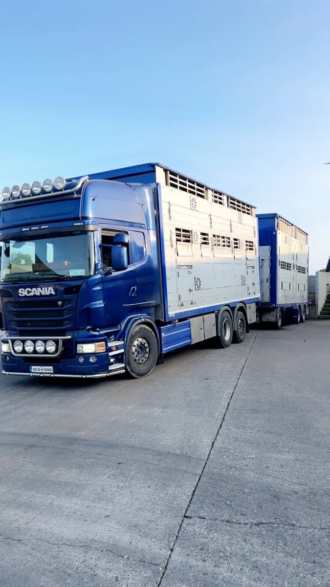 🐮 LIVESTOCK HAULAGE 🐮 - Image 1