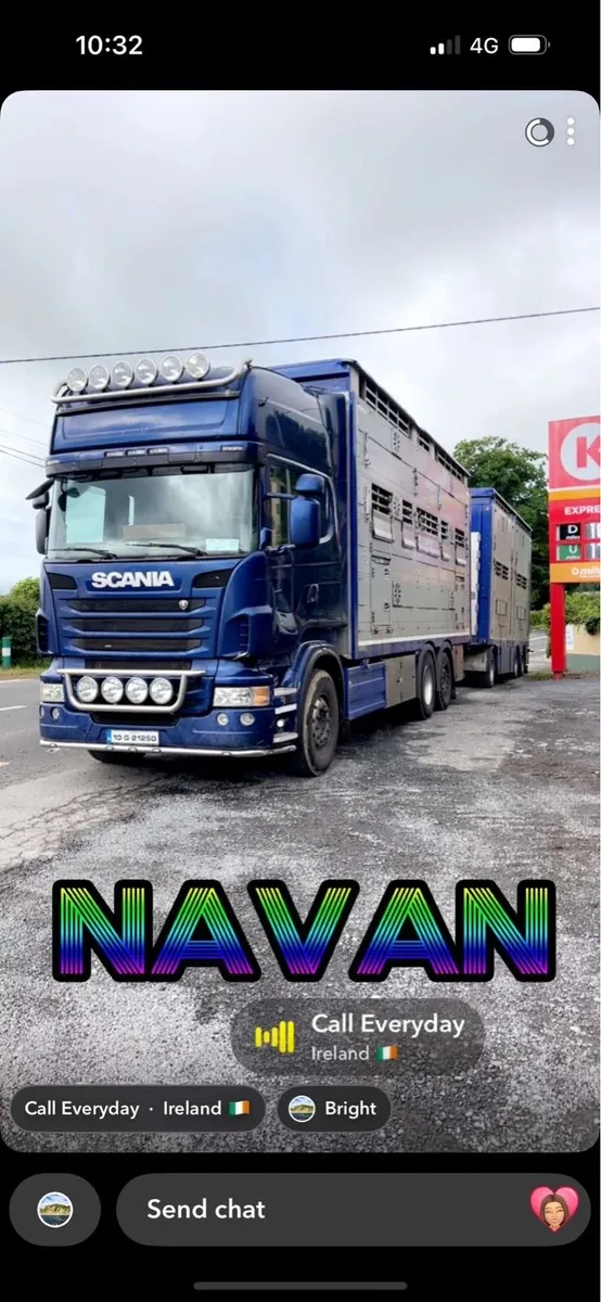 🐮 LIVESTOCK HAULAGE 🐮 - Image 2