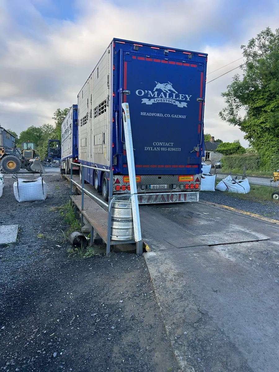 🐮 LIVESTOCK HAULAGE 🐮 - Image 3