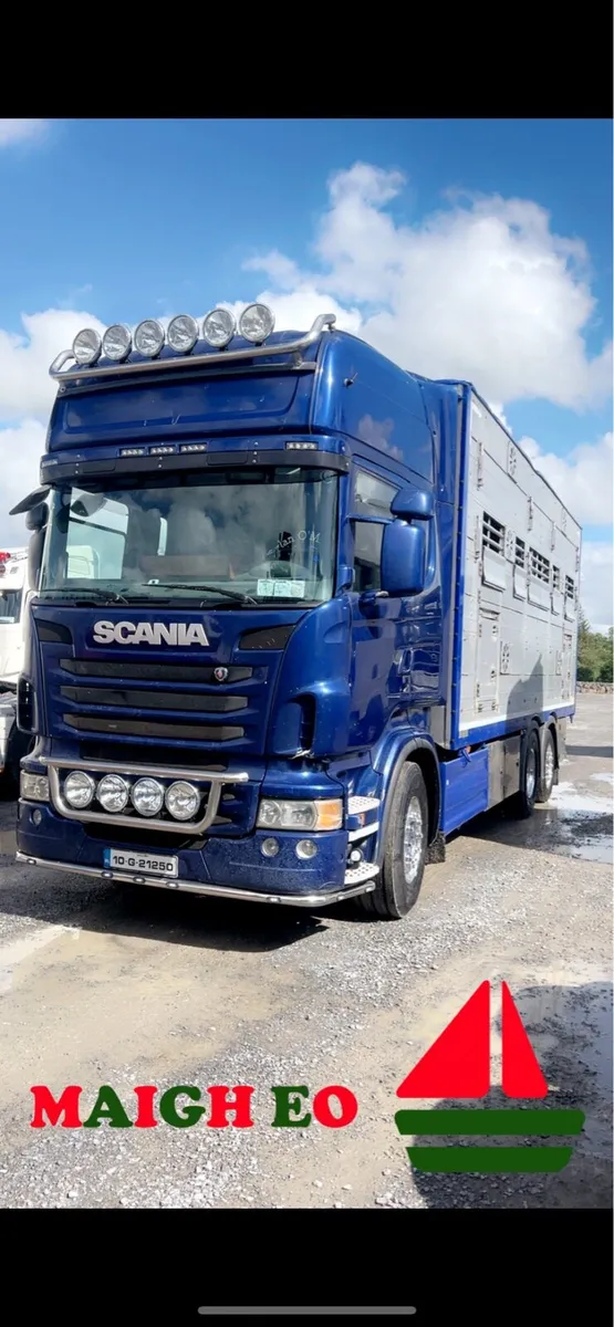 🐮 LIVESTOCK HAULAGE 🐮 - Image 4