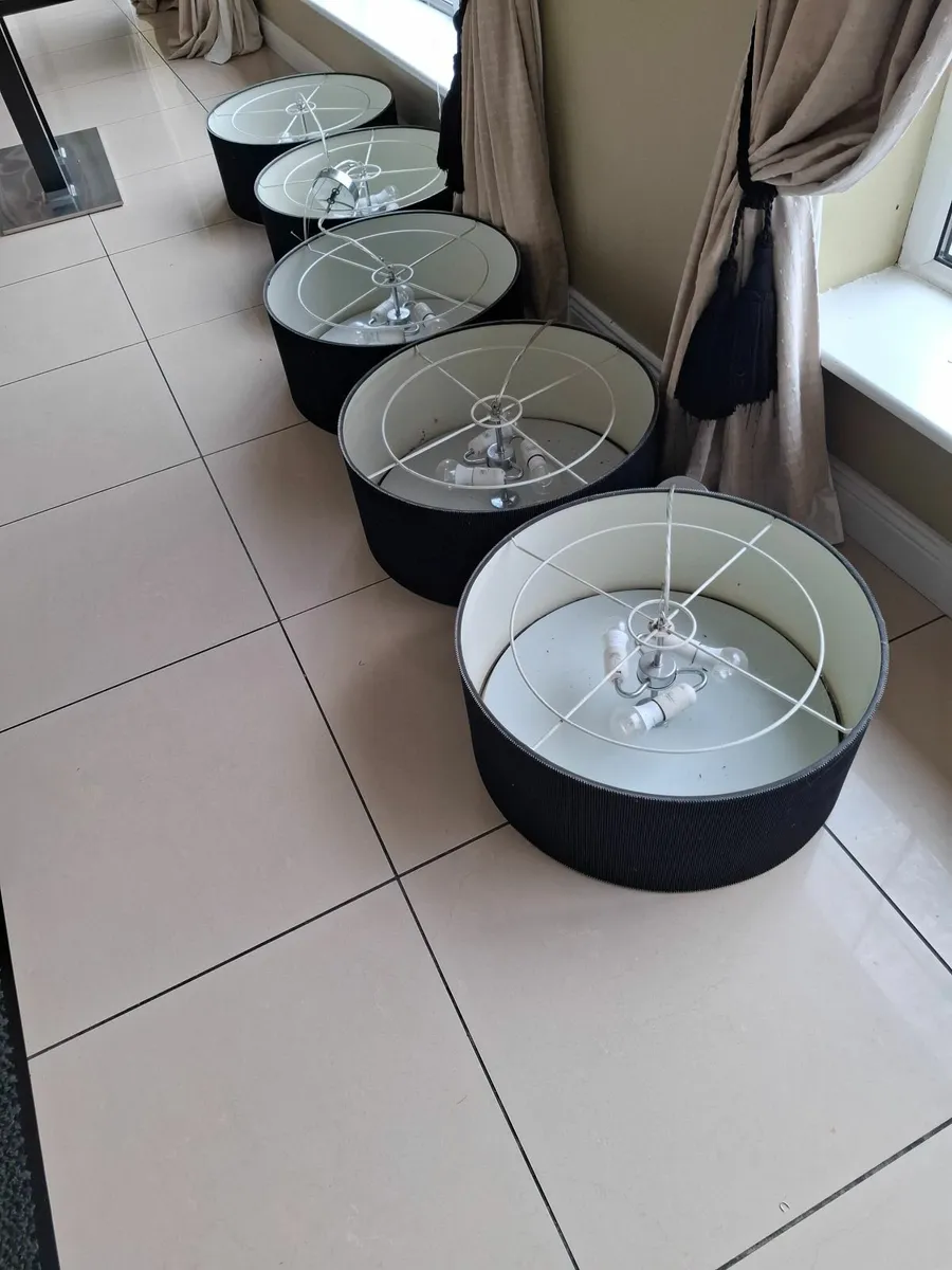 Mirrors, Lights, Curtains ..Coffee Tables Clear! - Image 4