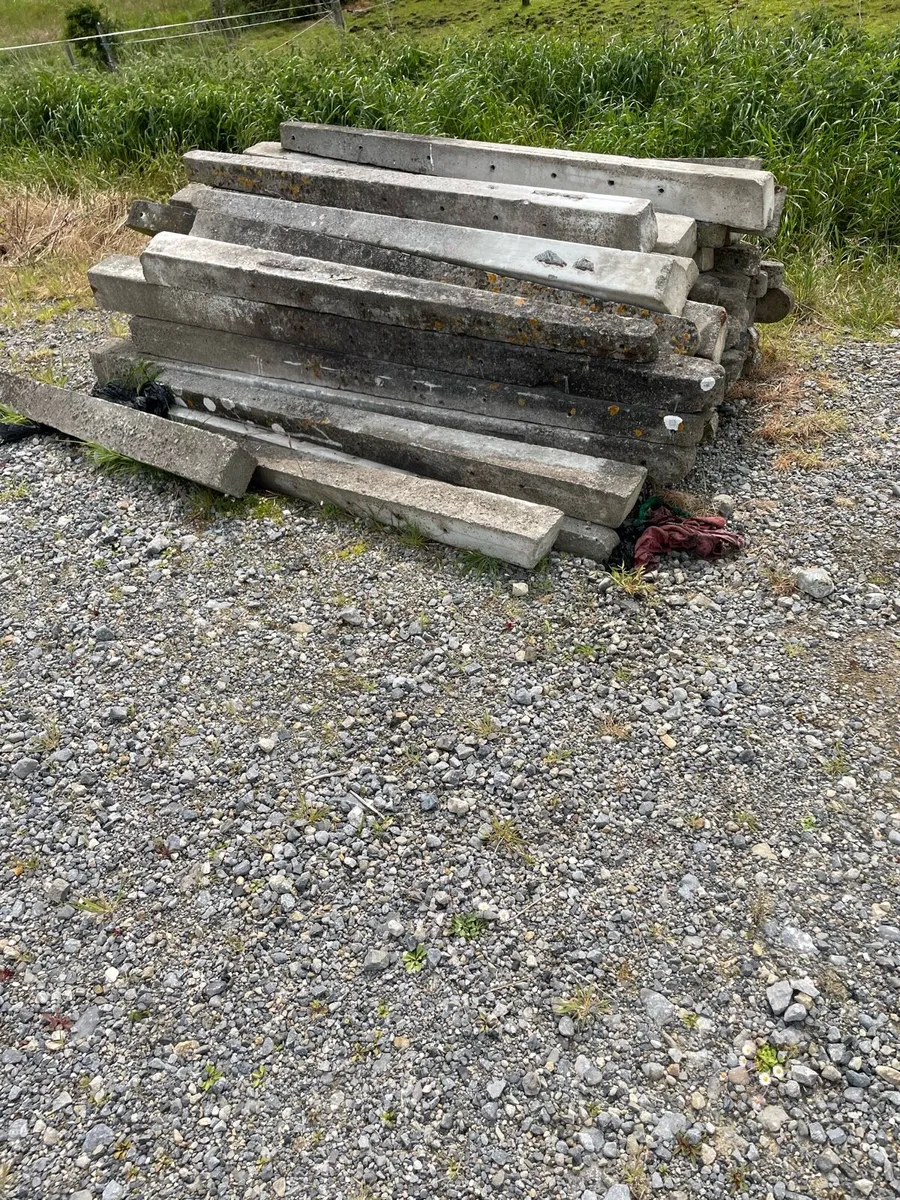 Concrete stakes - Image 2