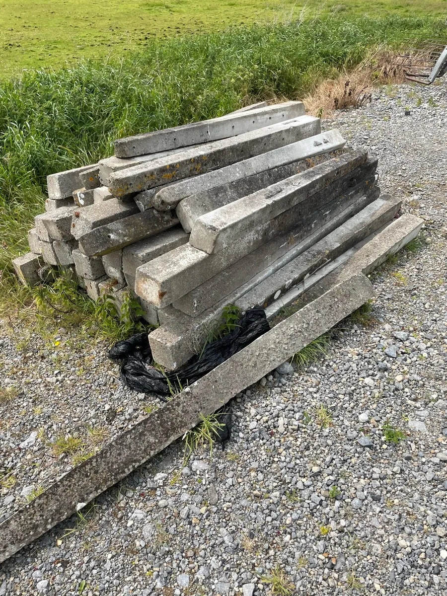 Concrete stakes - Image 3