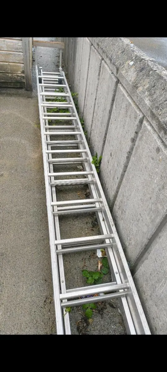 Roof ladder