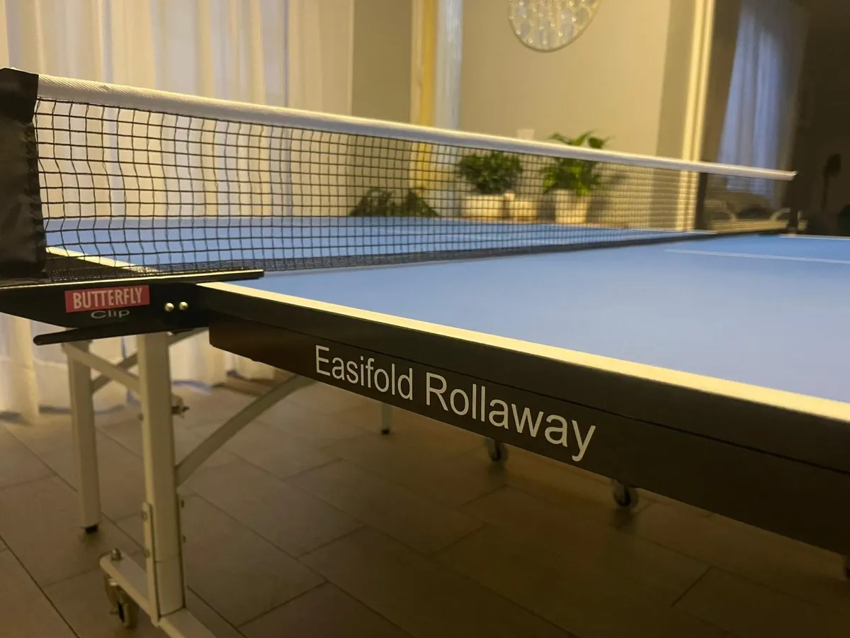 Butterfly Table Tennis - Image 2