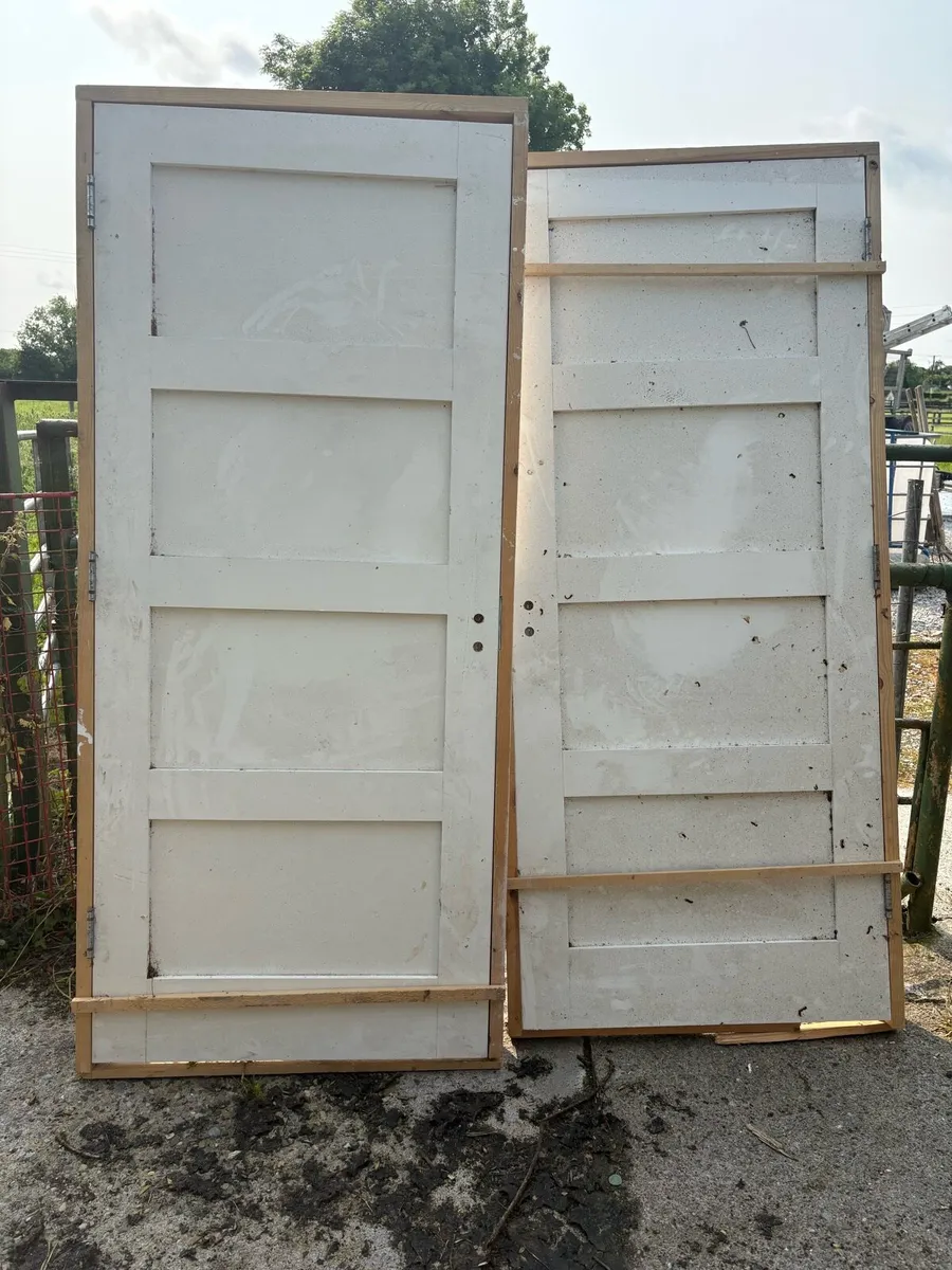Doors - Image 1
