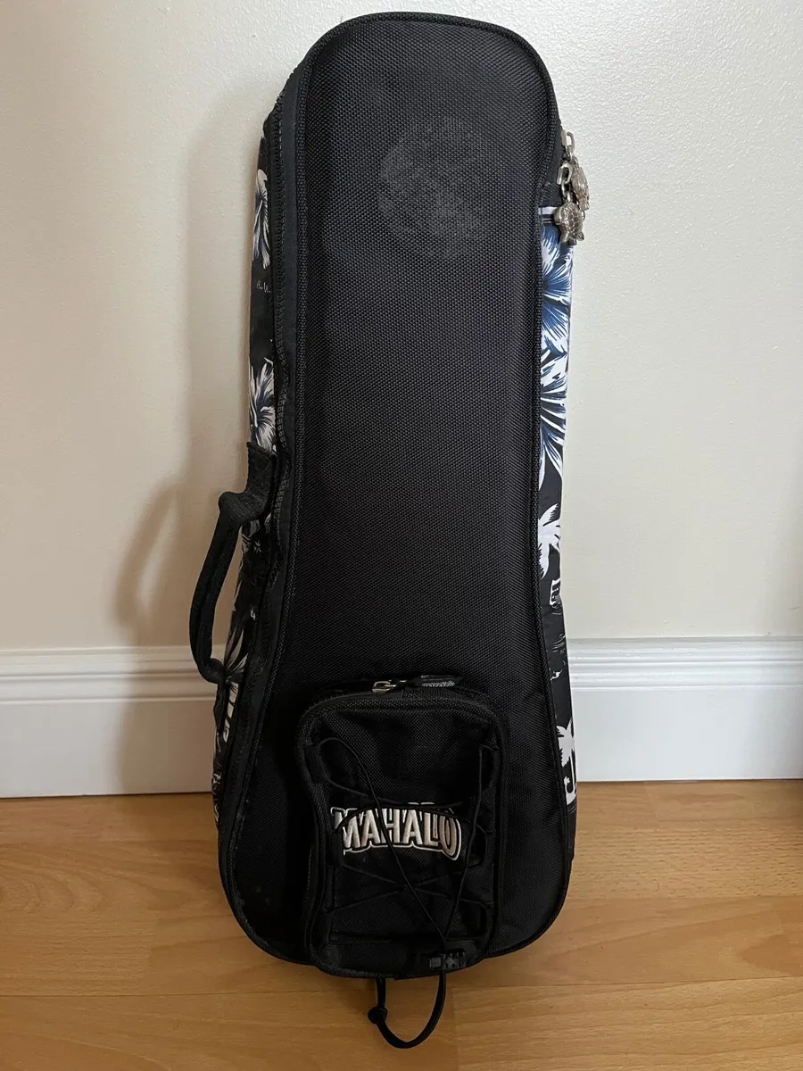 Brunswick Ukulele with case - Image 4