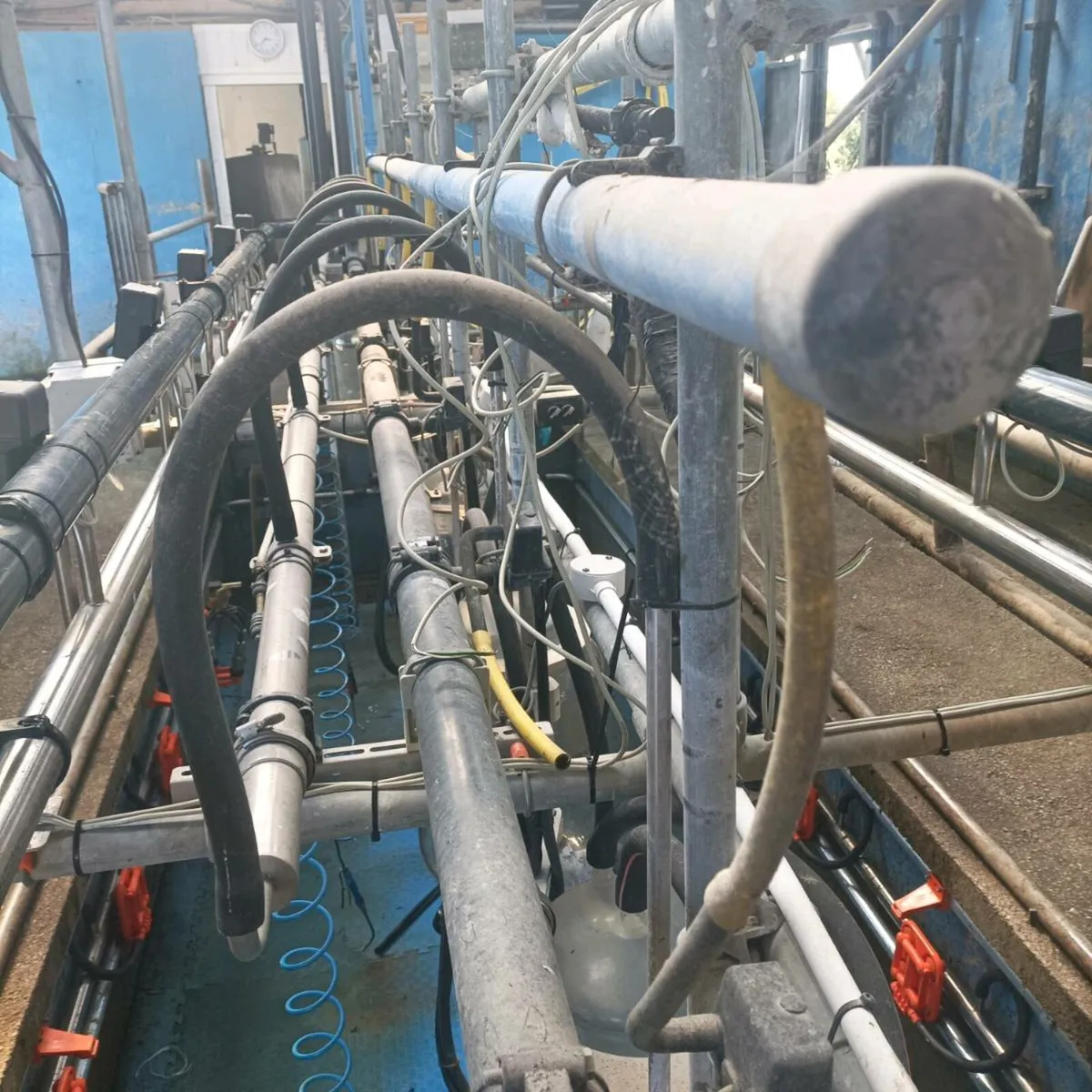 Milking Parlour - Image 2