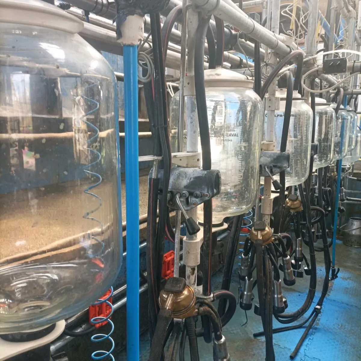 Milking Parlour - Image 3