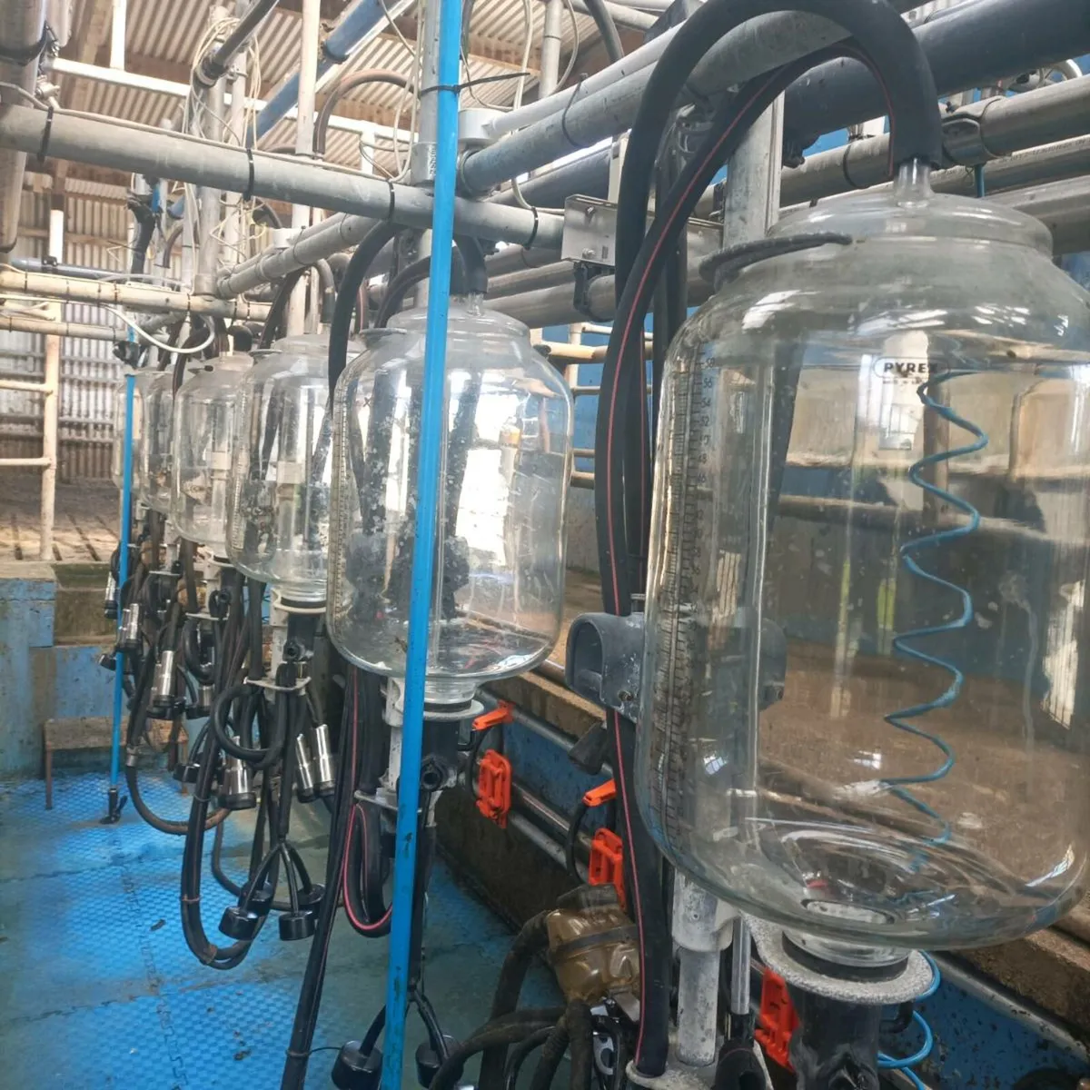 Milking Parlour - Image 1