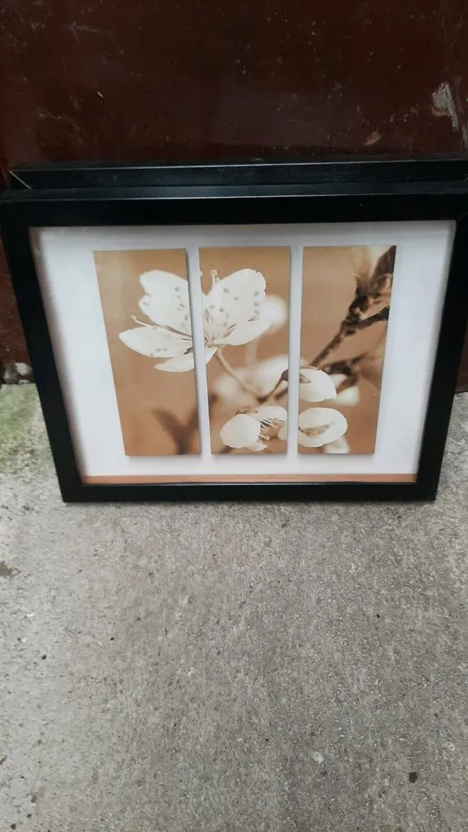 Pictures - Image 3