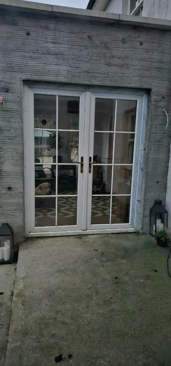 French doors - Image 1