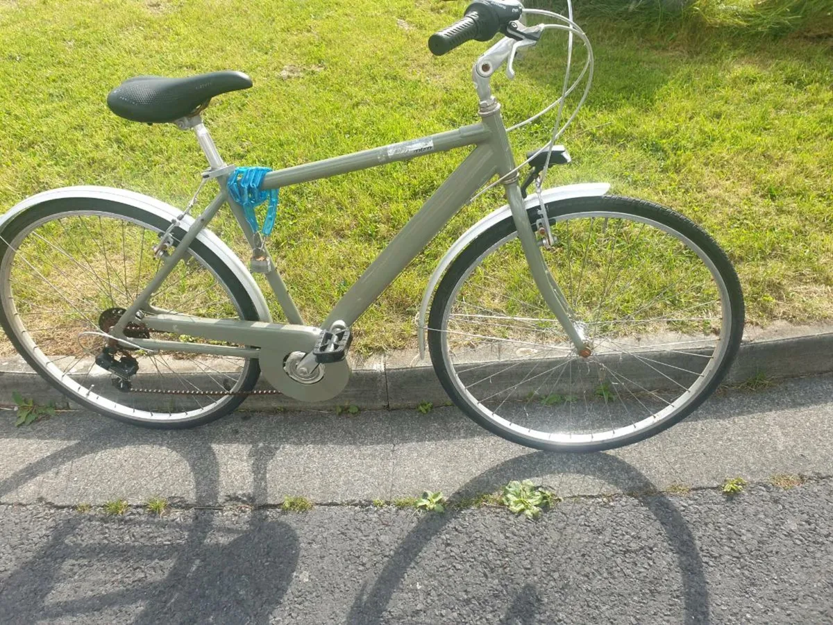 ADILTS CRUSIER BIKE - Image 1