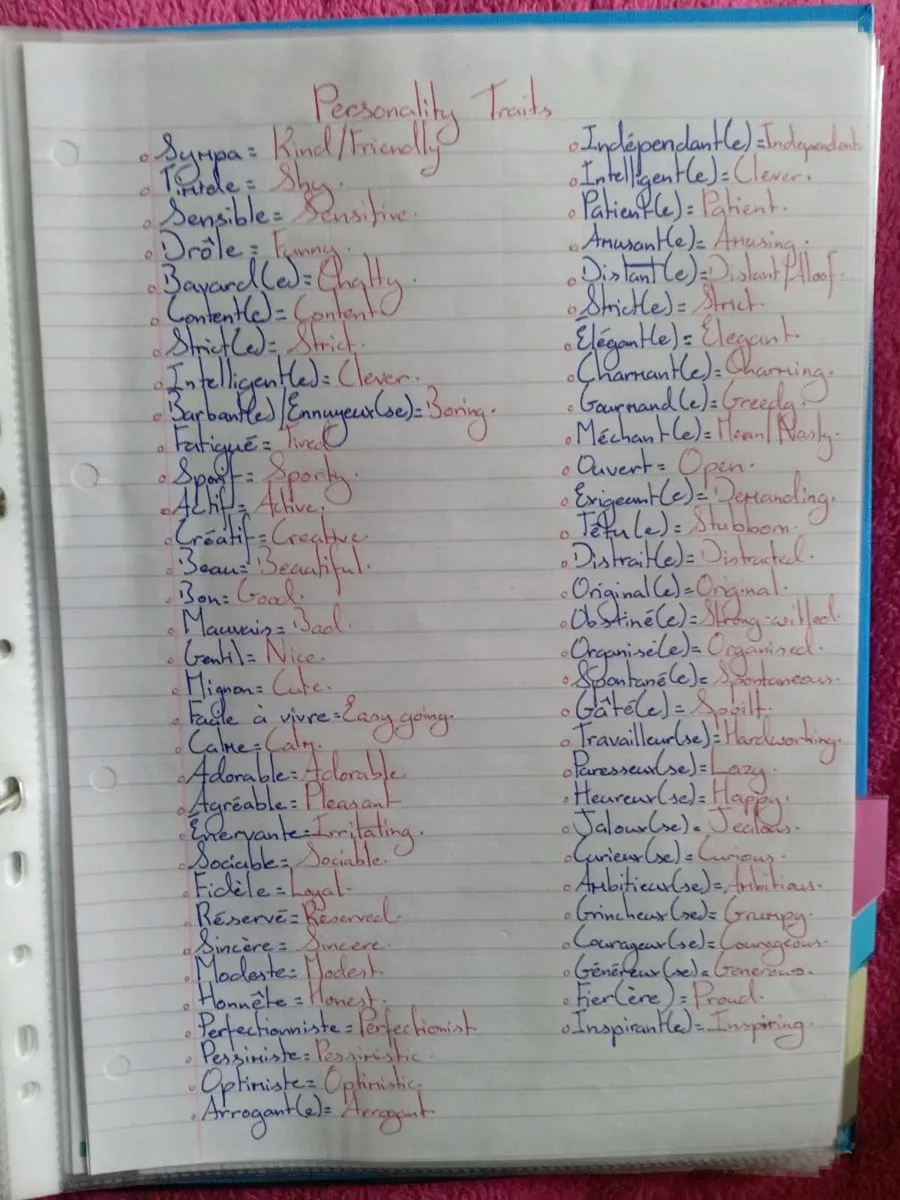 Junior Cert - French Notes - Image 1