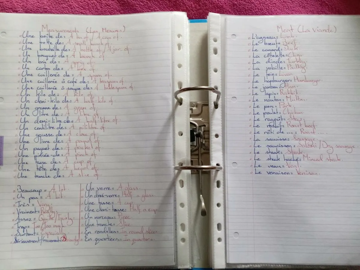 Junior Cert - French Notes - Image 2