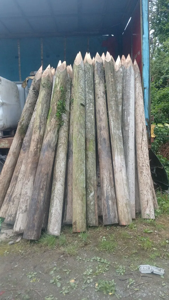 Poles - Image 1