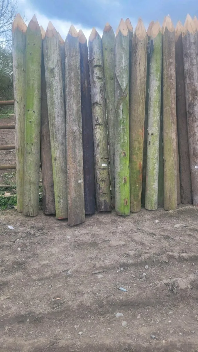 Poles - Image 2