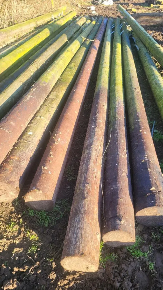 Poles - Image 3