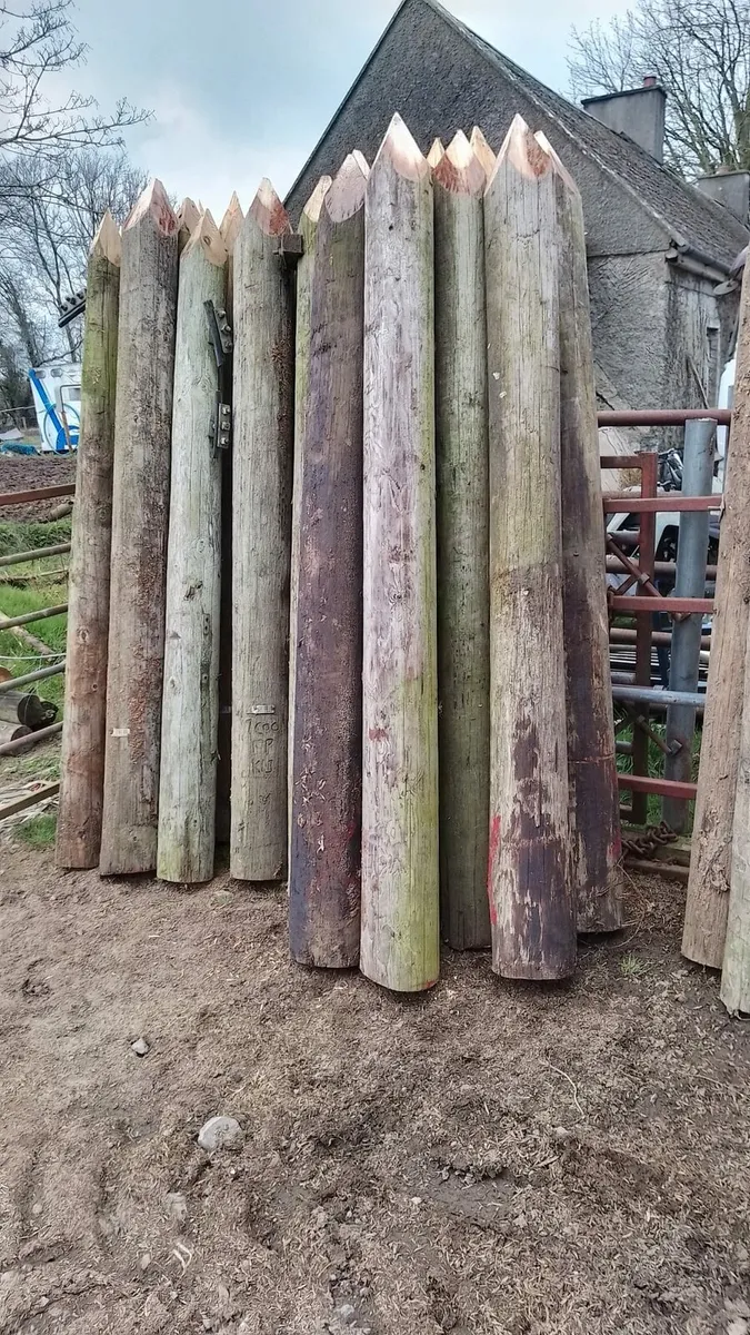 Poles - Image 4