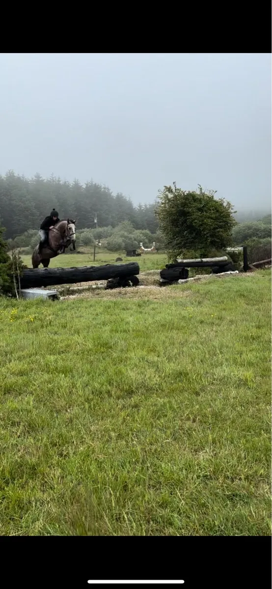 4yr old TIH - Image 4