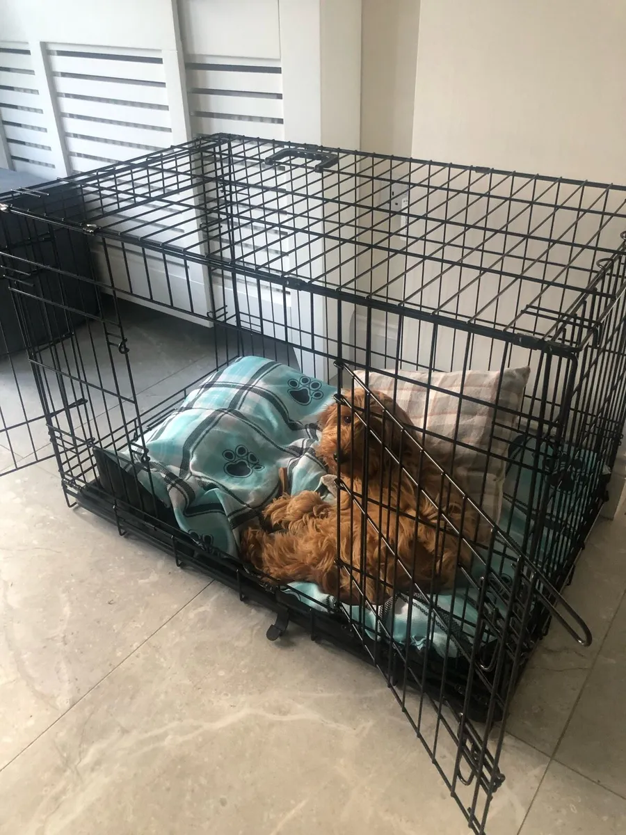 Dog crate - Image 2