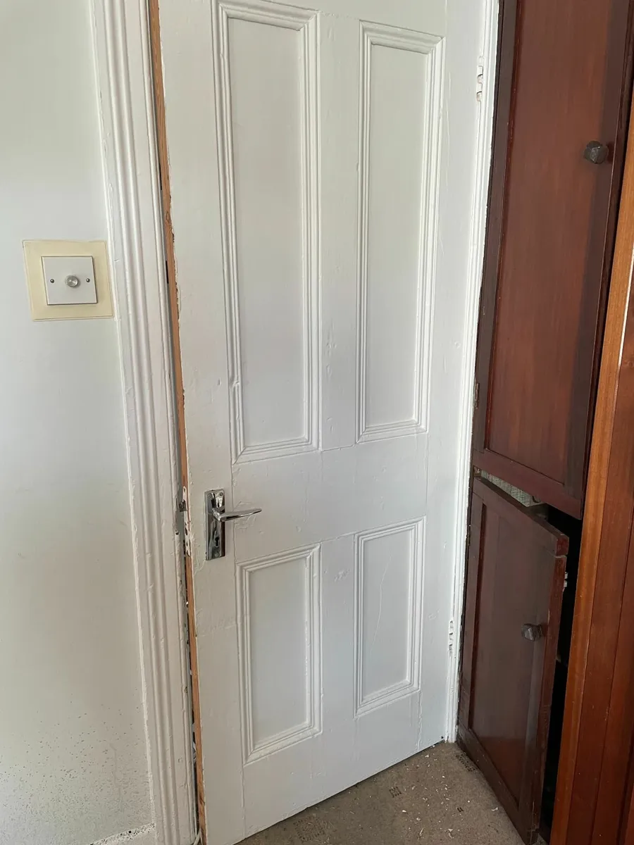 Authentic, Vintage Original 1920s Pine Panel Doors - Image 1