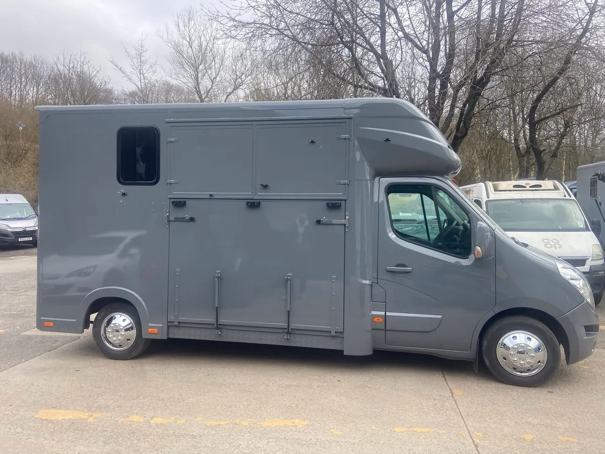 NEW 3.5 TONNES 2 STALL HORSEBOX / 2 BOX BY REGENT - Image 2