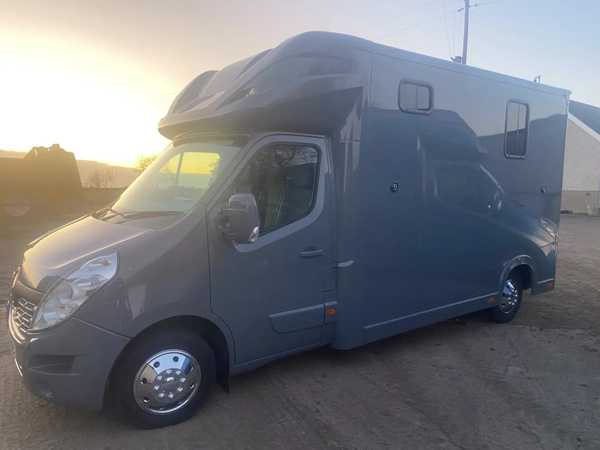 NEW 3.5 TONNES 2 STALL HORSEBOX / 2 BOX BY REGENT - Image 3