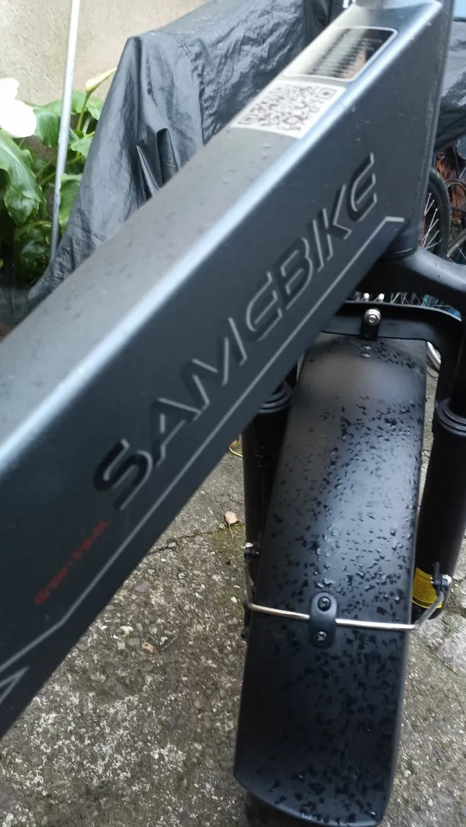 Electric bike - Image 2