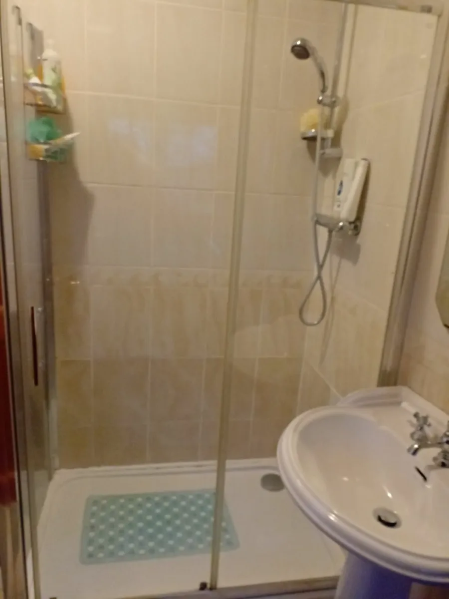 Sink, toilet, shower & radiator - Image 4