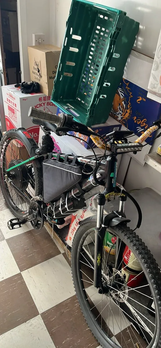 ebike - Image 1
