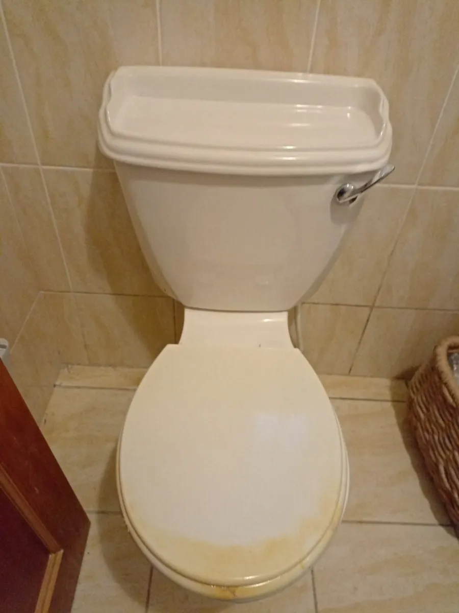 Sink, toilet, shower & radiator - Image 3