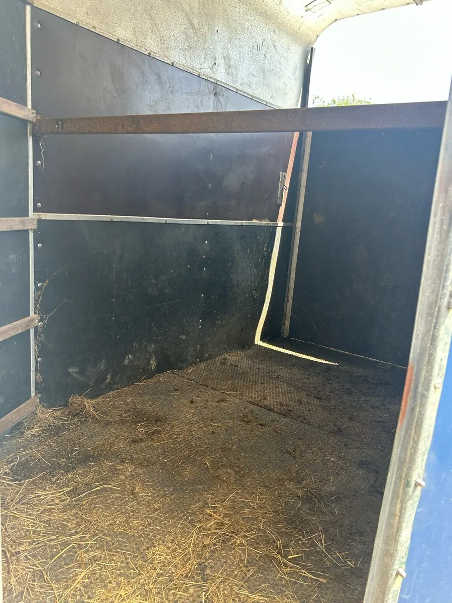 Horse Box - Image 4