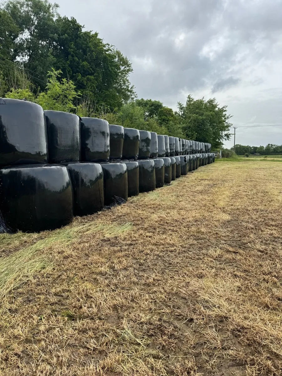Silage Bales