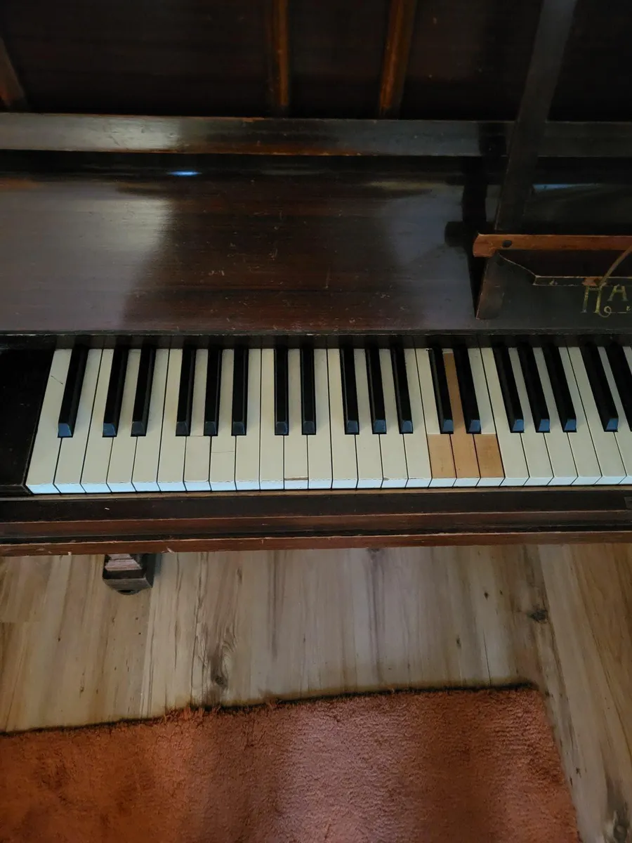 Piano - Image 4